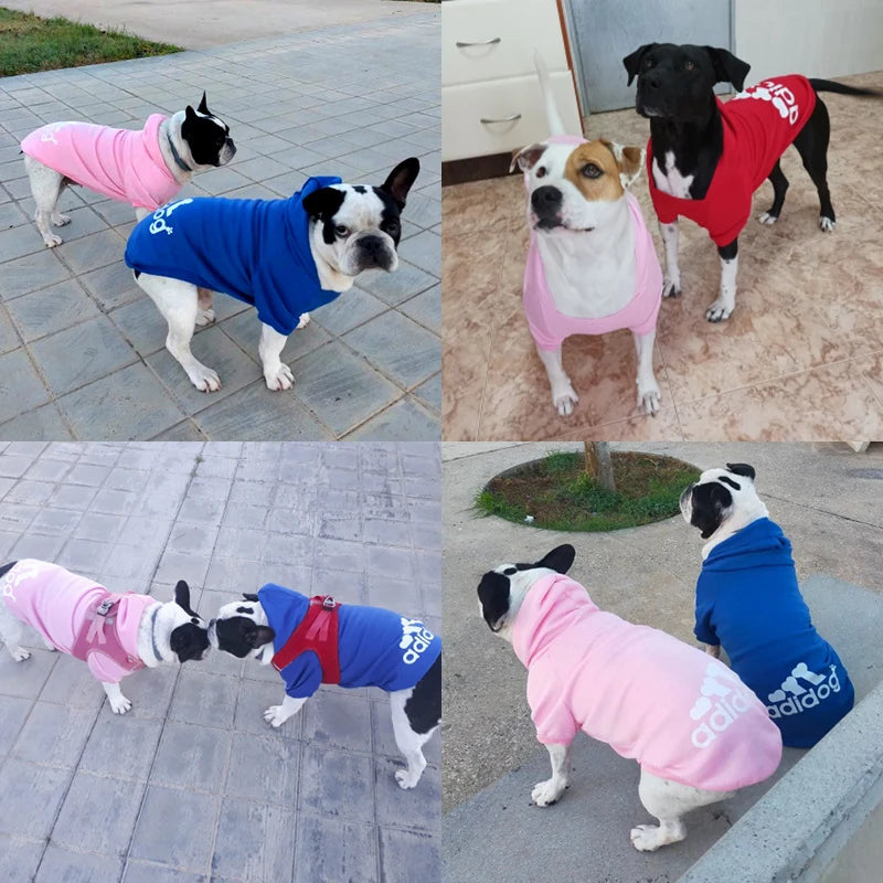 2024 Winter Dog Hoodies